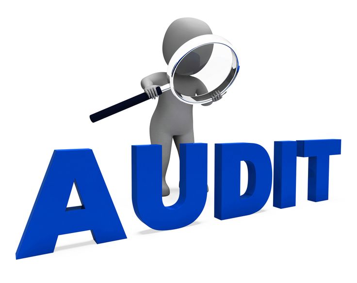 Site Audit Services